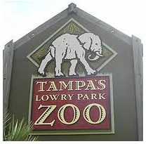 Lowry Park Zoo Tampa - Free Birthday Admission