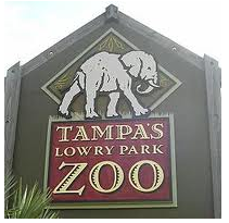 Lowry Park Zoo in Tampa