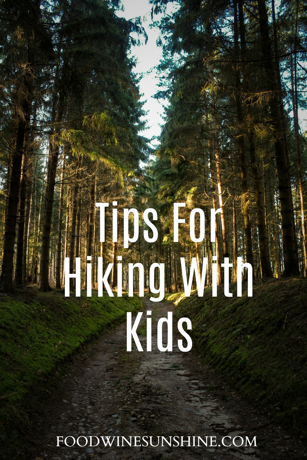 Tips For Hiking With Kids