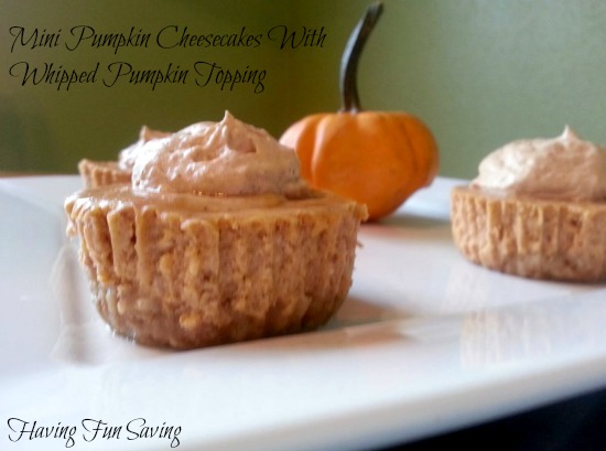 Mini Pumpkin Cheesecake with Pumpkin whipped topping recipe