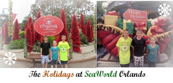 Best events at SeaWorld Orlando