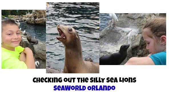 Things to do at SeaWorld Orlando 