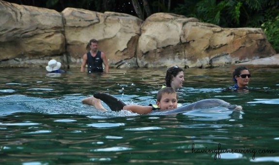 Discovery Cove is The #1 Amusement Park in the WORLD!