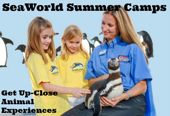 SeaWorld Summer Camps #Orlando