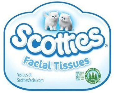 scotties-logo