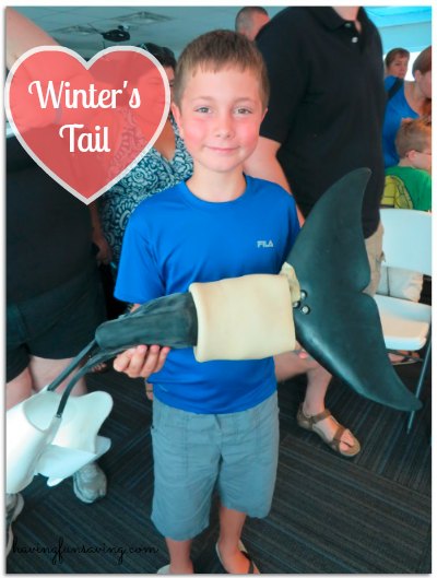 See Winter at The Clearwater Aquarium