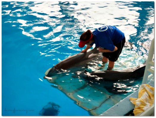 See Winter at The Clearwater Aquarium