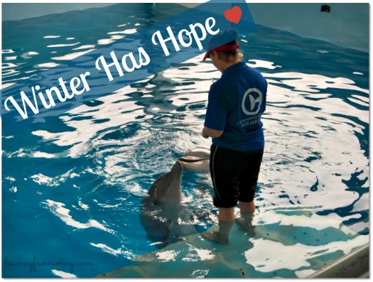 See Winter at The Clearwater Aquarium