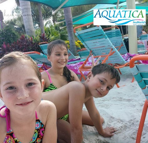 Discounted Aquatica passes for 2014