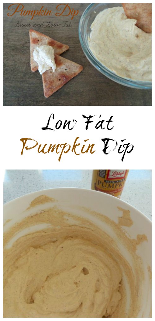 Low Fat Pumpkin Dip 