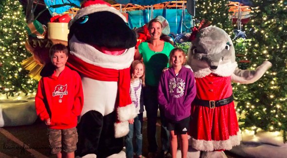 Experience Christmas at SeaWorld