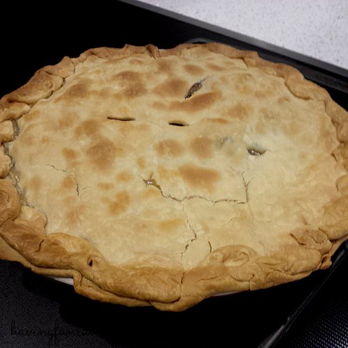 Recipe for Thanksgiving leftover pie