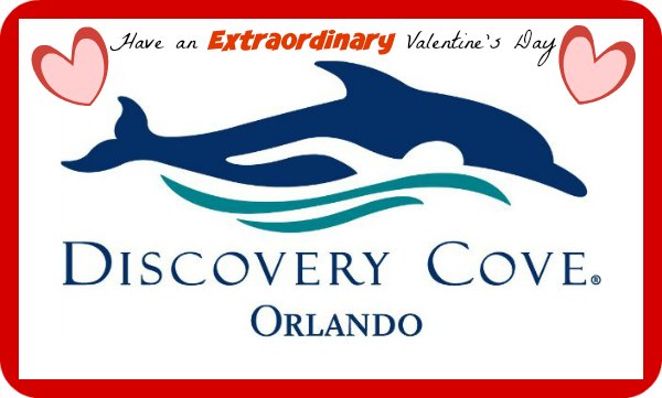 Discovery Cove Valentine’s Day Packages