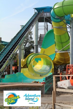 Coloassal Curl Adventure Island