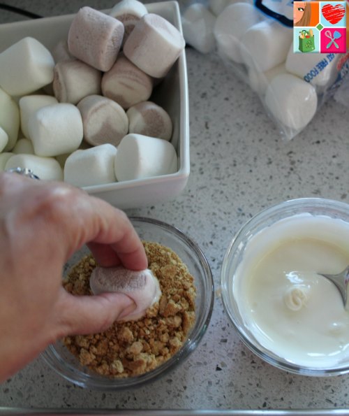 Marshmallow S'mores Recipe + 10 Fun Indoor Winter Activities on Food Wine Sunshine