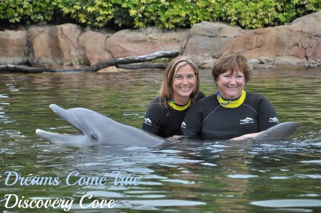 Swimming with dolphins at Discovery Cove Orlando