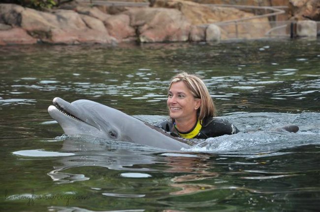 Dolphin swim at Discovery Cove Orlando