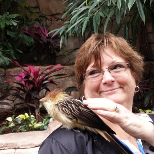 Bird Aviary at Discovery Cove Orlando