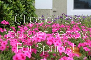 Tips To Get Ready For Spring