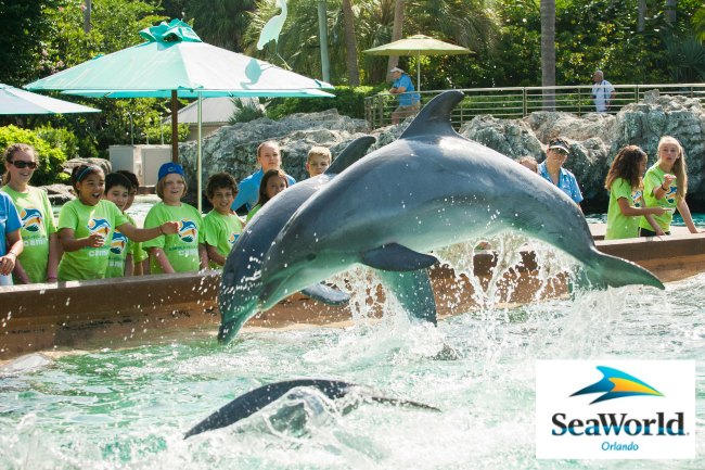 Summer Camps at SeaWorld