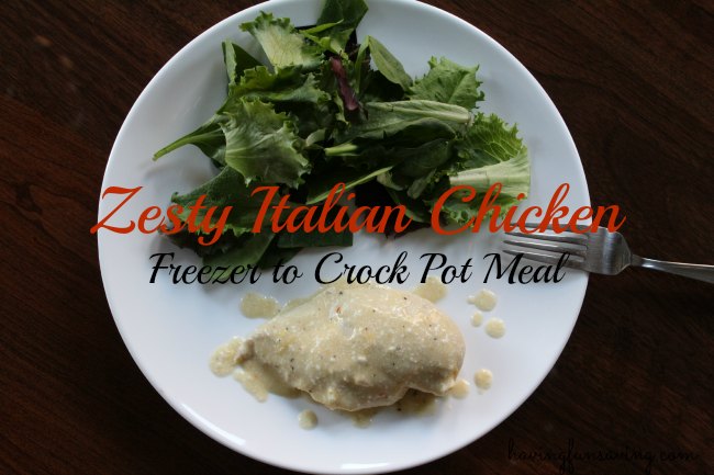 Zesty Italian Chicken Freezer to Crock Pot Meal
