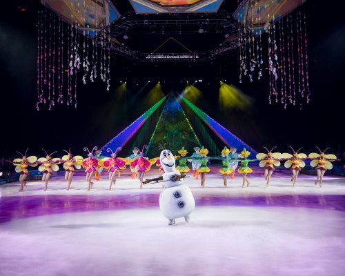Frozen on Ice in Tampa