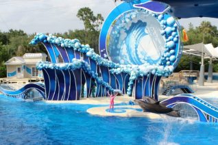 Viva La Musica at SeaWorld