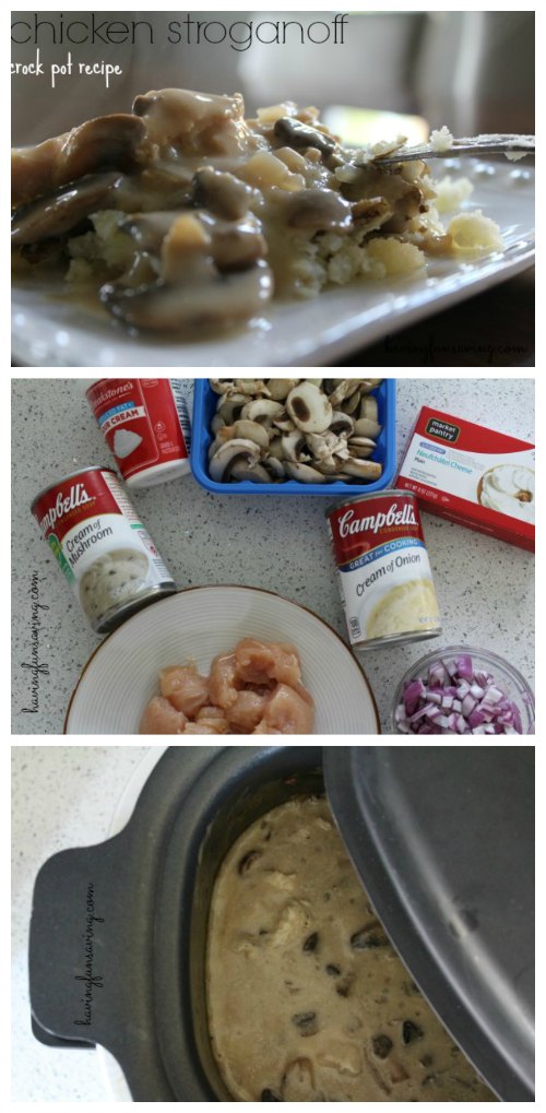 Slow Cooker Chicken Stroganoff 