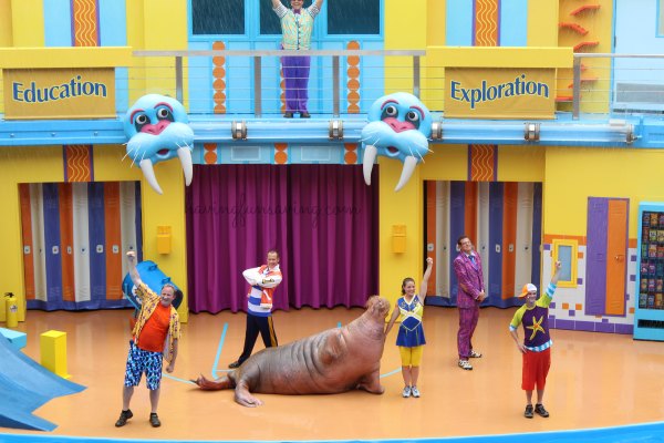 Sea Lion High at SeaWorld Orlando