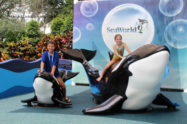 Viva La Musica SeaWorld