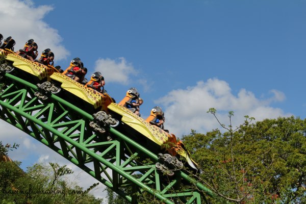 Kids Love Busch Gardens Tampa Summer Camps