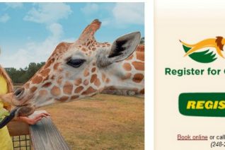 Busch Gardens Summer Camps