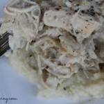 Slow Cooker Ranch Chicken