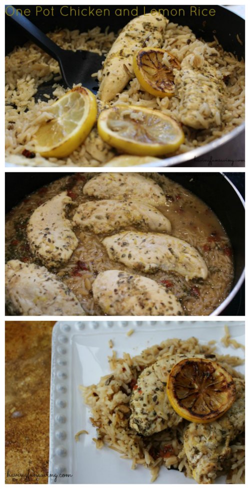 Delicious One Pot Chicken and Lemon Rice 