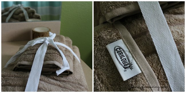 Tips on preparing for guests