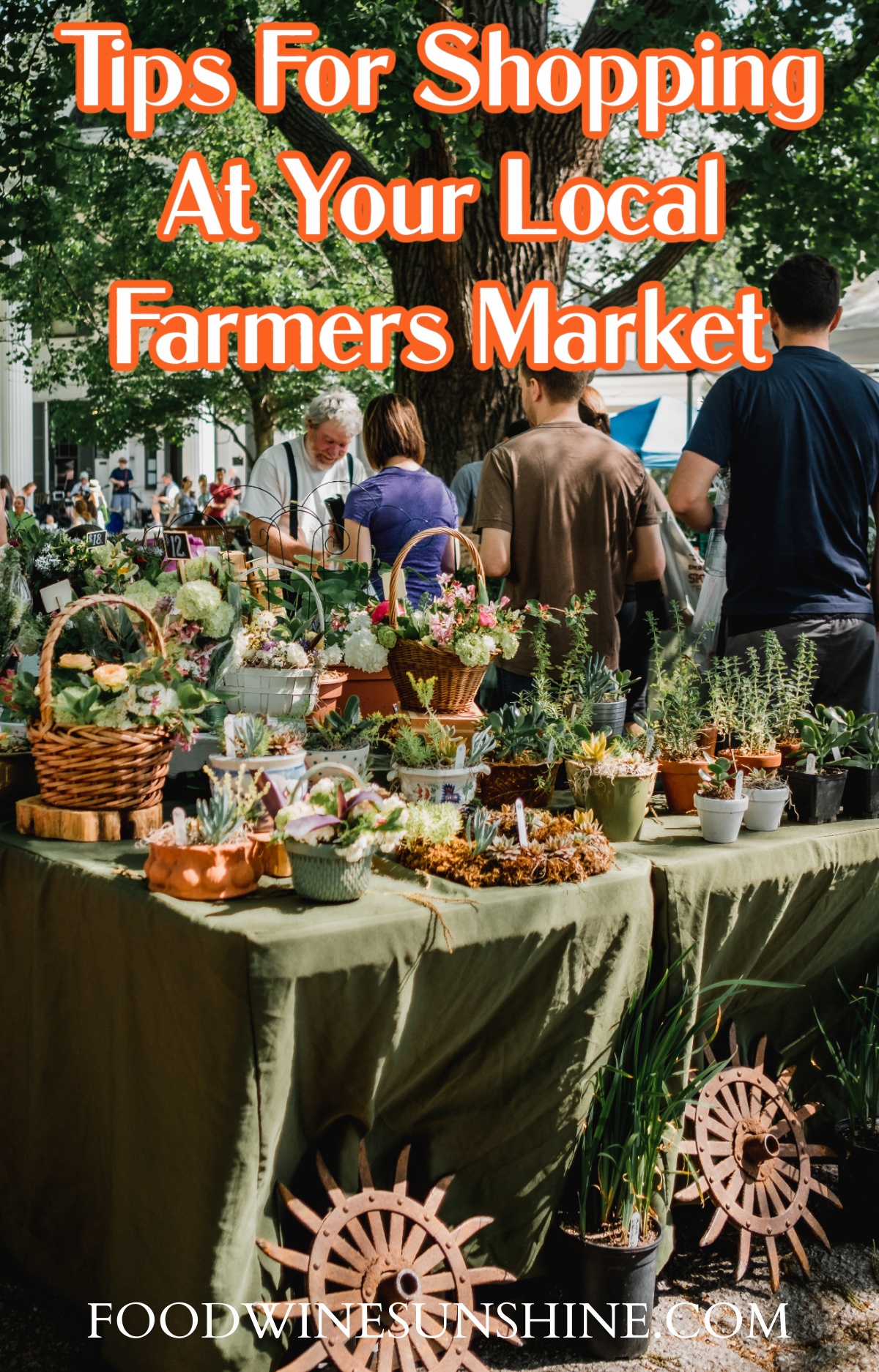 Tips For Shopping At Your Local Farmers Market 