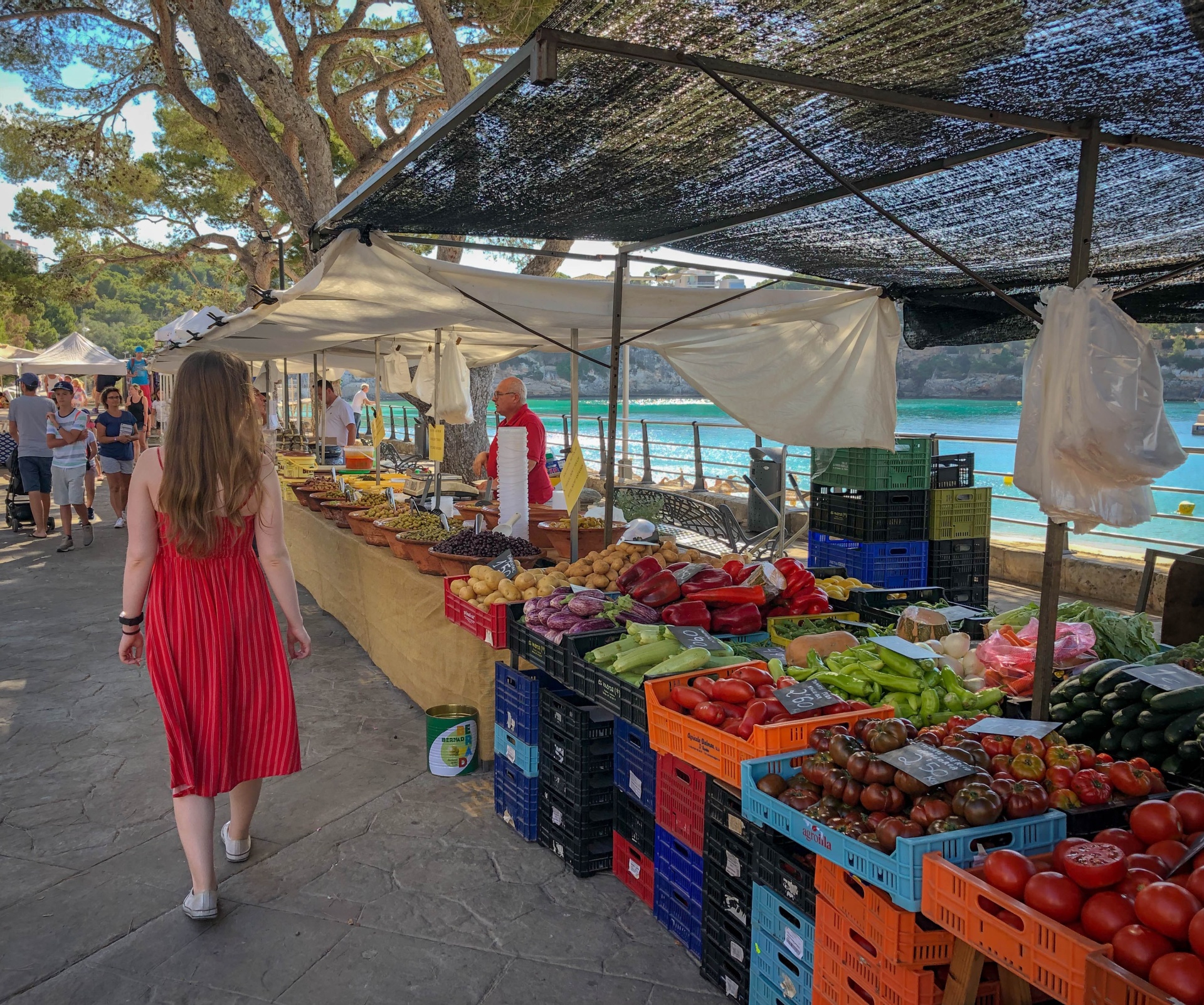 Best Tips For Shopping At The Farmers Market 