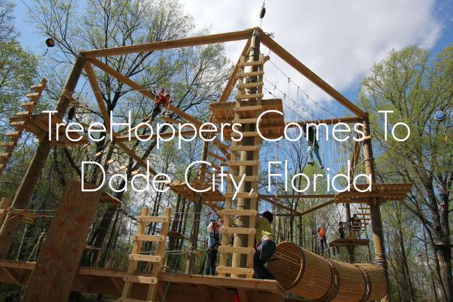 Treehoppers Dade City