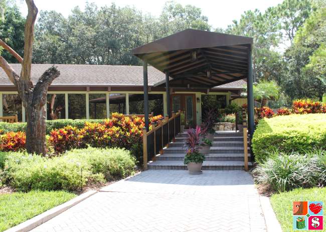 Things To Do At Innisbrook Resort