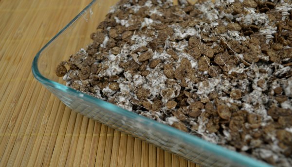 Cocoa Pebbles Spider Crispy Treats Recipe