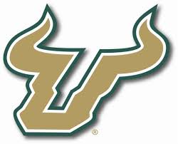 USF Bulls Football game