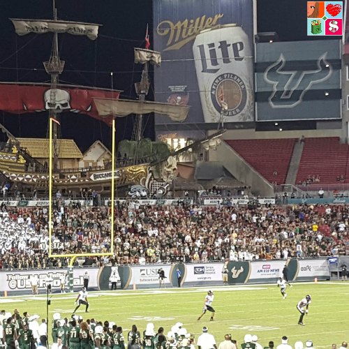 USF Bulls Football game