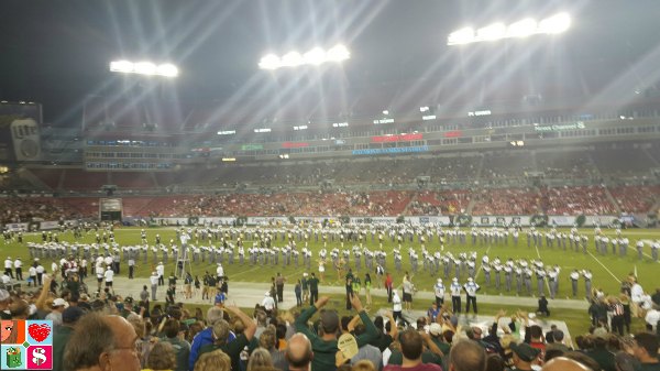 USF Bulls Football game