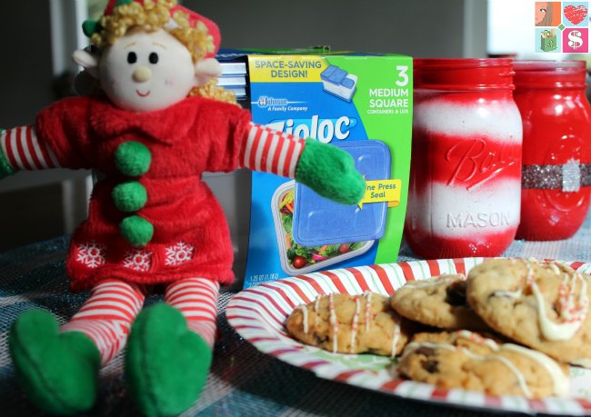 Coconut Chocolate Chip Cookies Recipe