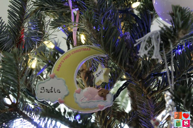 The Perfect Gift for Kids Living in Florida The Perfect Gift for Kids Living in Florida