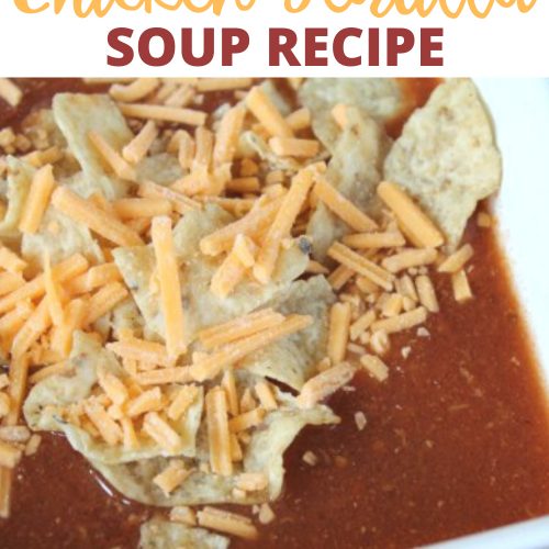 Best Slow Cooker Chicken Tortilla Soup