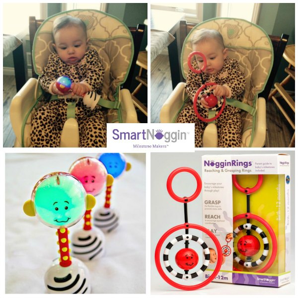 Developmental Toys for babies