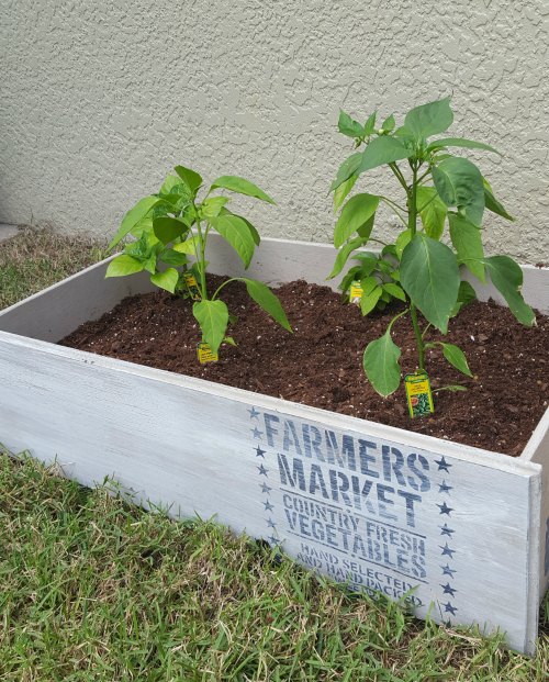 Simple diy garden boxes