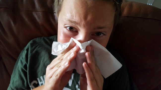 Let Scotties Facial Tissues Help You This Allergy Season