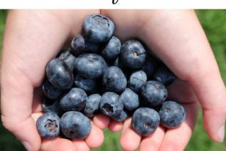 The Importance of Buying Local - Fresh from Florida on Food Wine Sunshine and Cooking